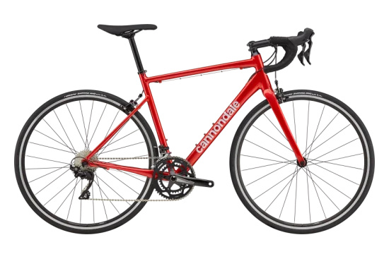 Giant Contend AR 2 2023 | Broekhuis